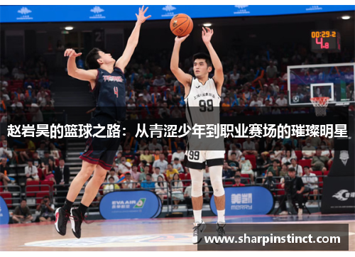 赵岩昊的篮球之路：从青涩少年到职业赛场的璀璨明星